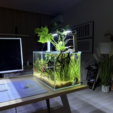 حوض نهري كلاسيك - P60