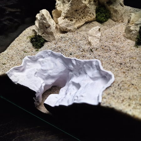 مخبأ الخشب المتحجر