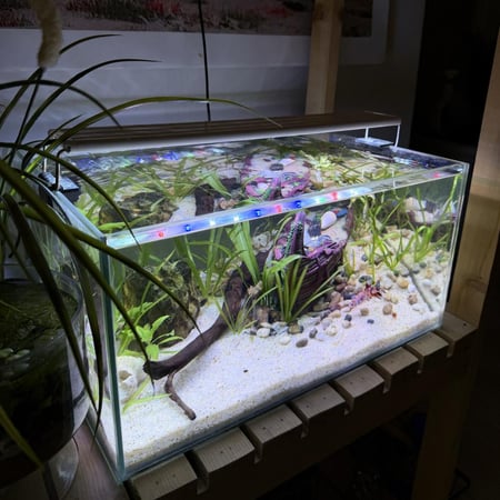 حوض نهري كلاسيك - P41