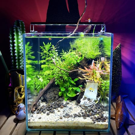 حوض نهري مكعب - P49