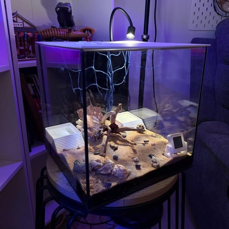 حوض جزيرة السلطعون الناسك — I01