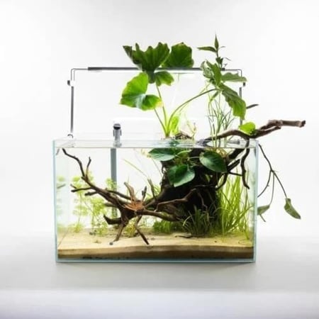 حوض نهري كلاسيك - P60