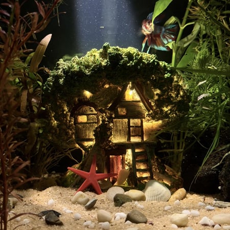 حوض نهري كلاسيك - P38