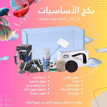 بكج أساسيات 10 في 1