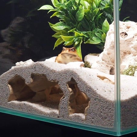 الأنفاق المتعددة