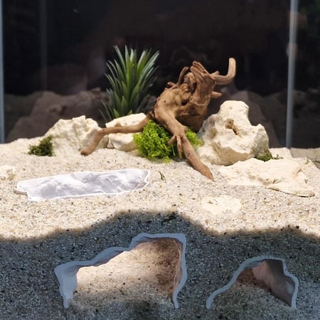 التحطم الكوني