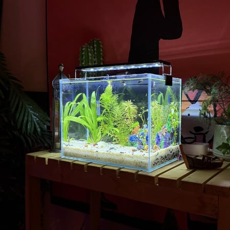 حوض نهري كلاسيك - P47