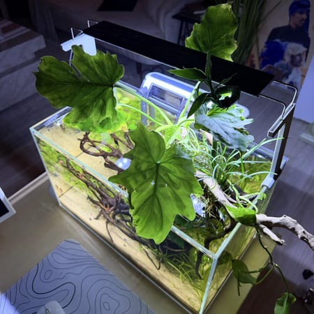 حوض نهري كلاسيك - P60