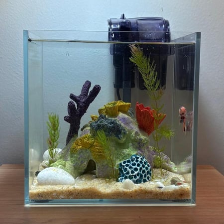 حوض نهري نانو - P15