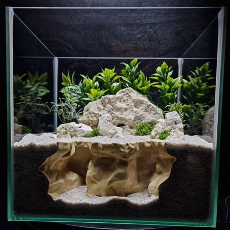 النفق المنقسم