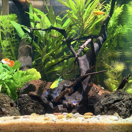 حوض نهري مكعب - P44