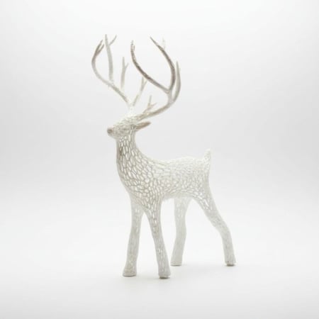 كهف شرمب Shrimp Shelter