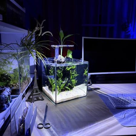 حوض نهري مكعب - P62