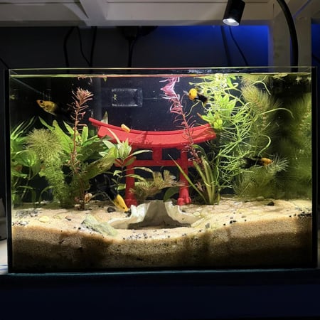 حوض نهري كلاسيك - P43