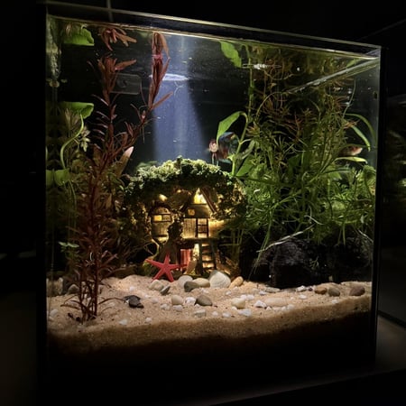 حوض نهري كلاسيك - P38