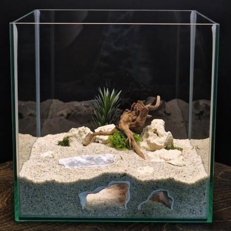 التحطم الكوني