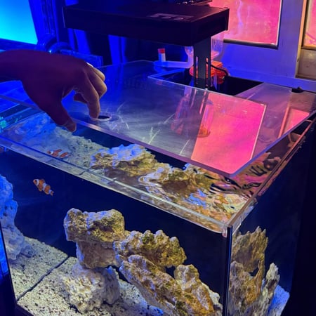 حوض بحري مكعب - M02