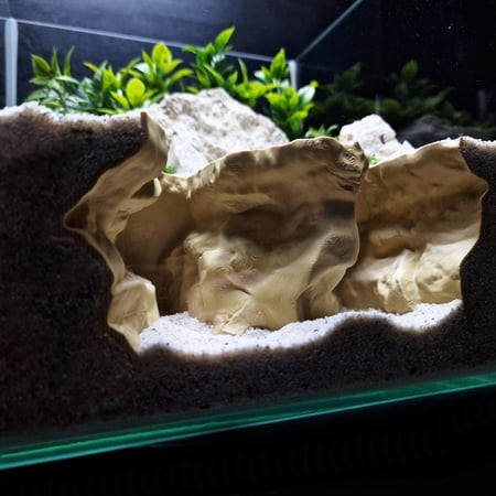 النفق المنقسم