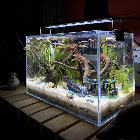 حوض نهري كلاسيك - P51