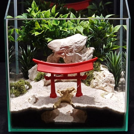 ممر التوري الياباني