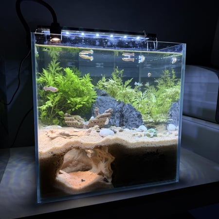 حوض نهري مكعب - P27