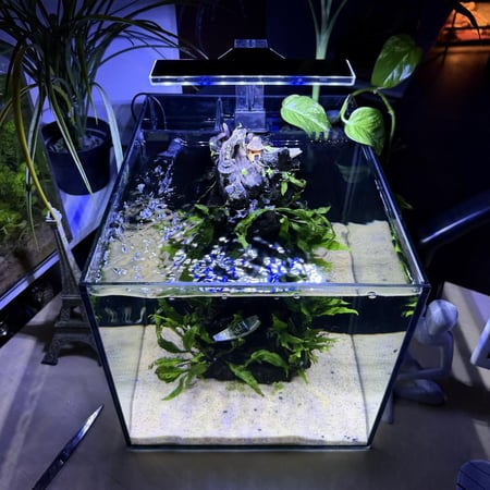 حوض نهري مكعب - P62