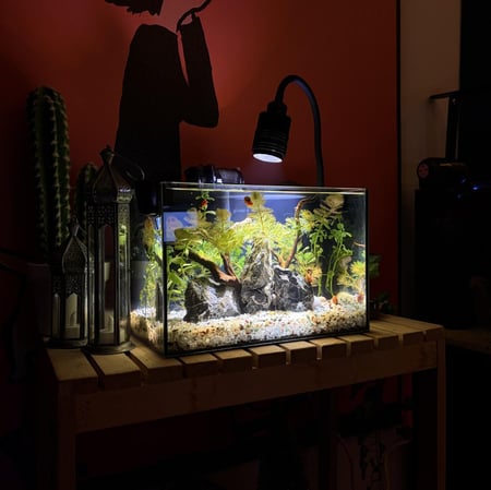 حوض نهري كلاسيك - P46