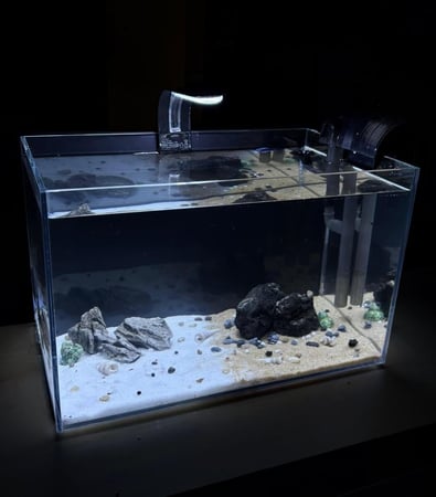 بكج أساسيات 10 في 1