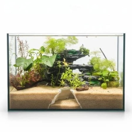 حوض نهري كلاسيك - P34