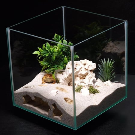 الأنفاق المتعددة