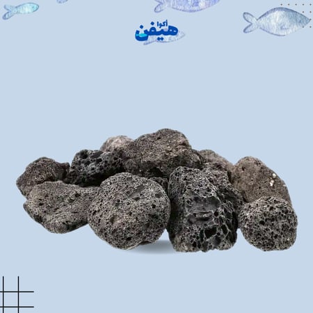 بكج أساسيات 10 في 1