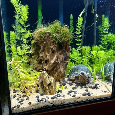 حوض نهري مكعب - P03