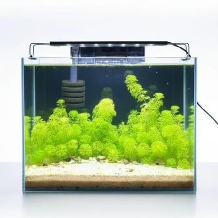 حوض نهري كلاسيك - P52