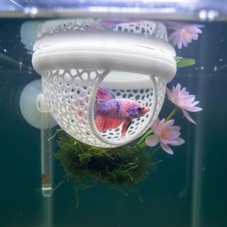 كهف فايتر عائم