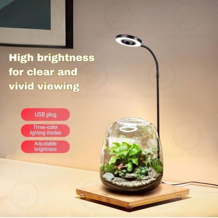إضاءة LED دائرية مع استاند
