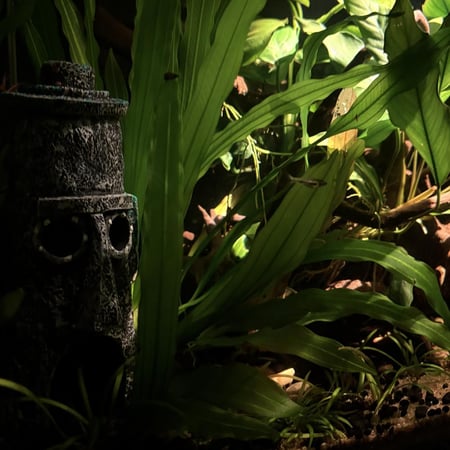 حوض نهري كلاسيك - P33