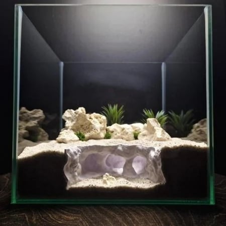 قمة أتلانتس Atlantis Crest