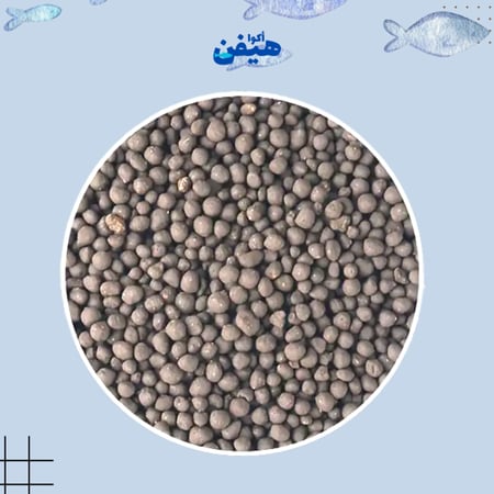 بكج أساسيات 10 في 1