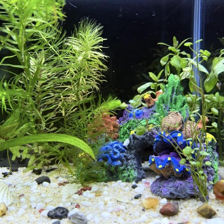 حوض نهري كلاسيك - P47