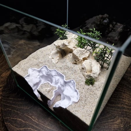 وكر دوامة الحجر