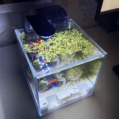 حوض نهري نانو - P23