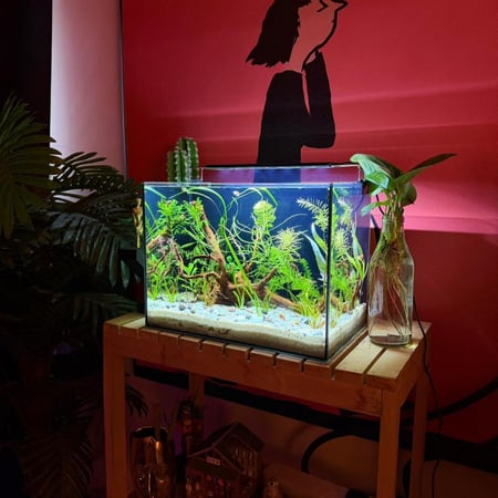 حوض نهري كلاسيك - P53