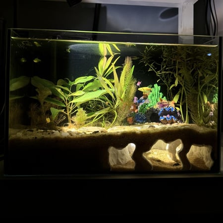 حوض نهري كلاسيك - P37