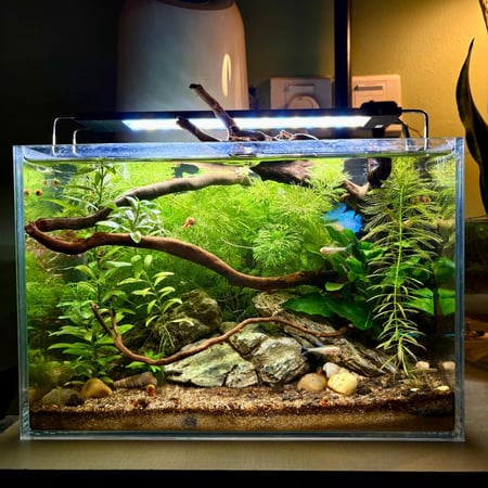 حوض نهري نانو - P05