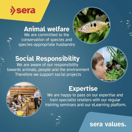 طعام سيرا للشرمب