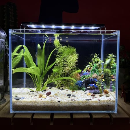 حوض نهري كلاسيك - P47