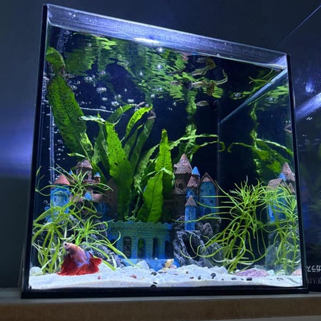 حوض نهري مكعب - P07