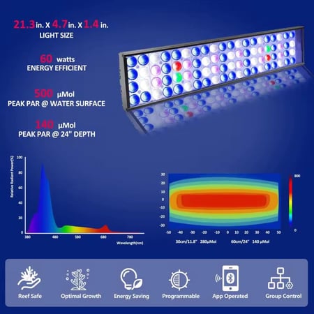إضاءة أحواض الريف — PopBloom H54 WiFi