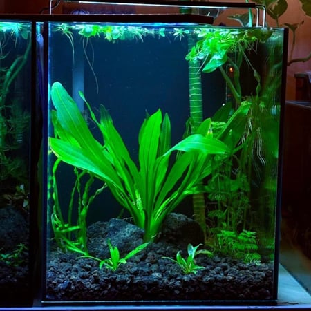 حوض نهري مكعب - P01