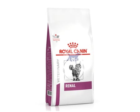 رويال كانين رينال طعام جاف للقطط royal canin